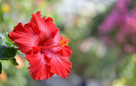 799769 (a): :2000x1268